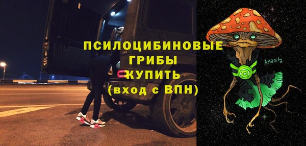 прущие грибы Алексин