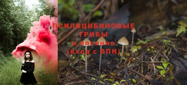 мдпв Арсеньев