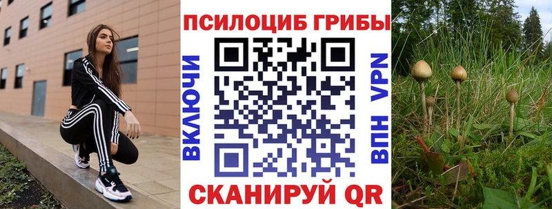 Купить закладки  Углегорск  Галлюциногенные грибы Cubensis 